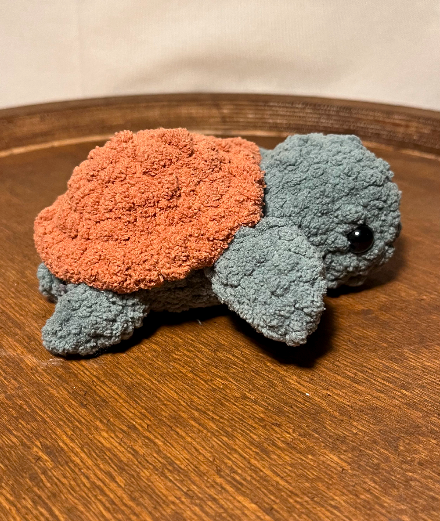 Tortuga personalizada
